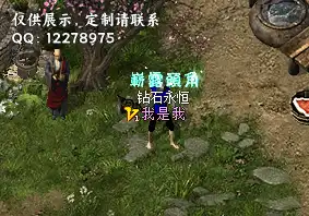 a13.webp